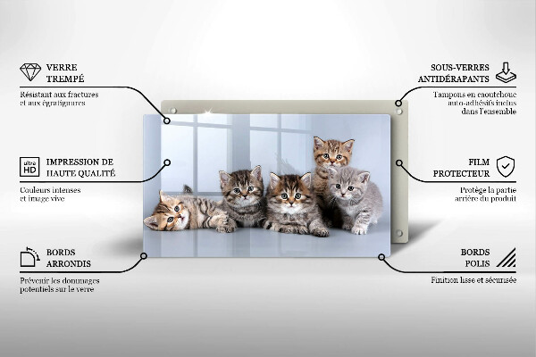 Szklana deska do krojenia Słodkie małe kotki