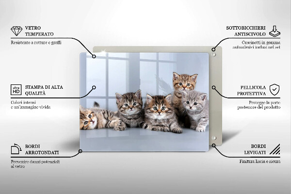Szklana deska do krojenia Słodkie małe kotki