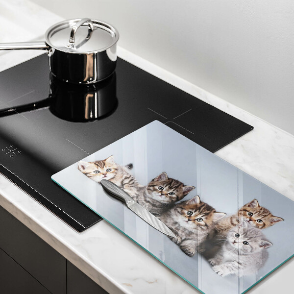 Szklana deska do krojenia Słodkie małe kotki