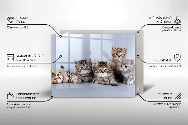 Szklana deska do krojenia Słodkie małe kotki