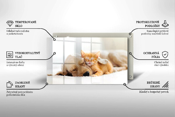 Szklana deska do krojenia Zwierzęta pies i kot