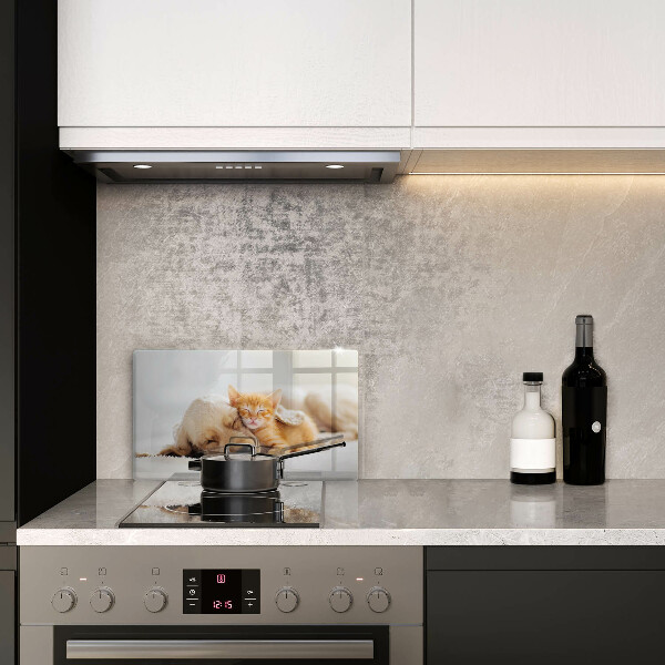 Szklana deska do krojenia Zwierzęta pies i kot