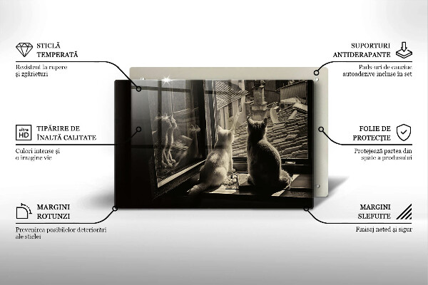 Deska do kuchni Koty miasto i okno