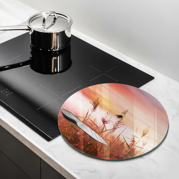 Deska kuchenna szklana Pejzaż pól traw