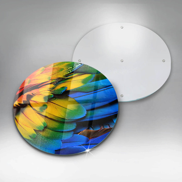 Deska kuchenna szklana Barwne pióra papugi