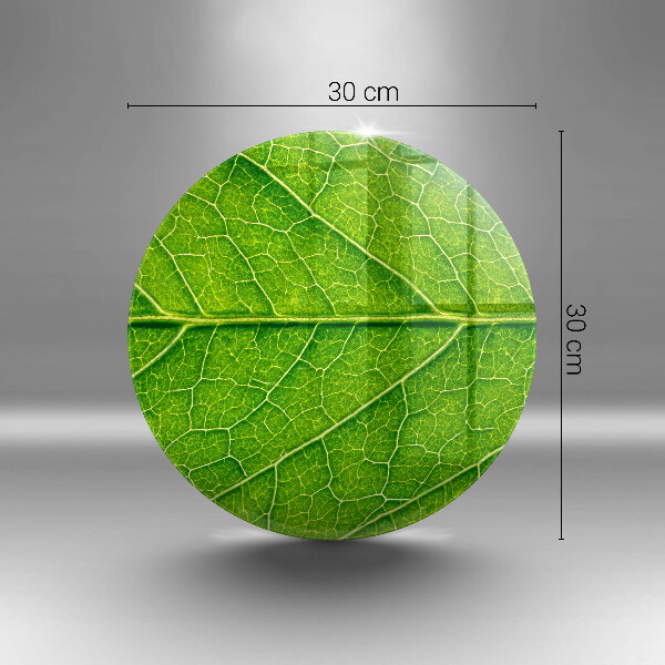 Deska kuchenna szklana Żyłki liść natura