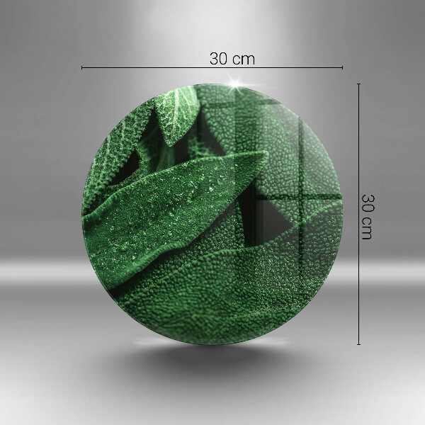 Deska kuchenna szklana Liście rośliny