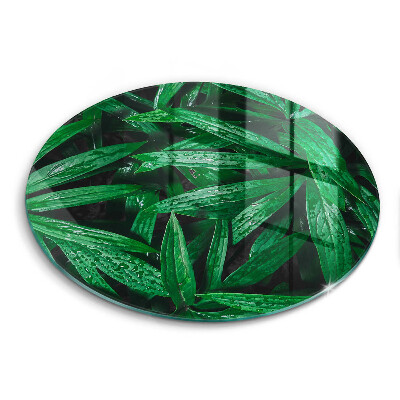 Szklana deska kuchenna Rośliny liście