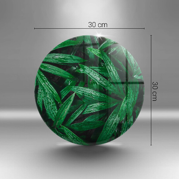 Szklana deska kuchenna Rośliny liście