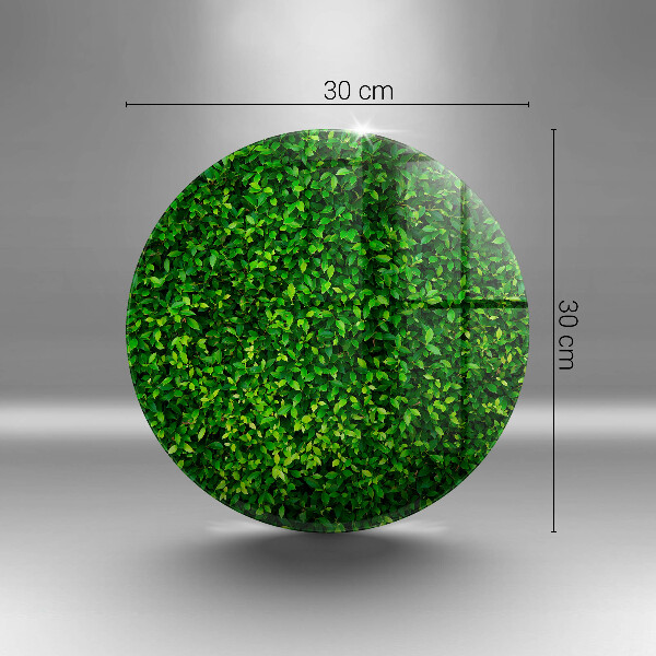 Deska kuchenna szklana Roślina małe listki