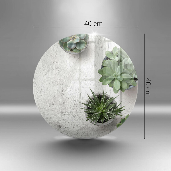 Deska kuchenna szklana Sukulenty na betonie