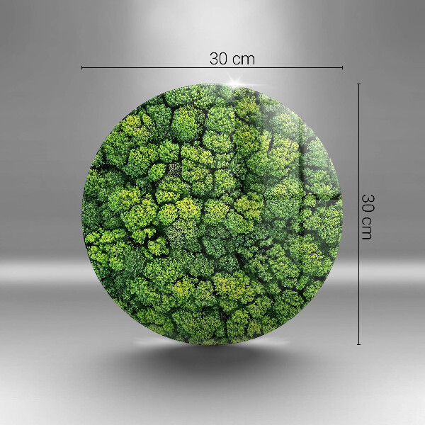 Deska kuchenna szklana Natura rośliny mech