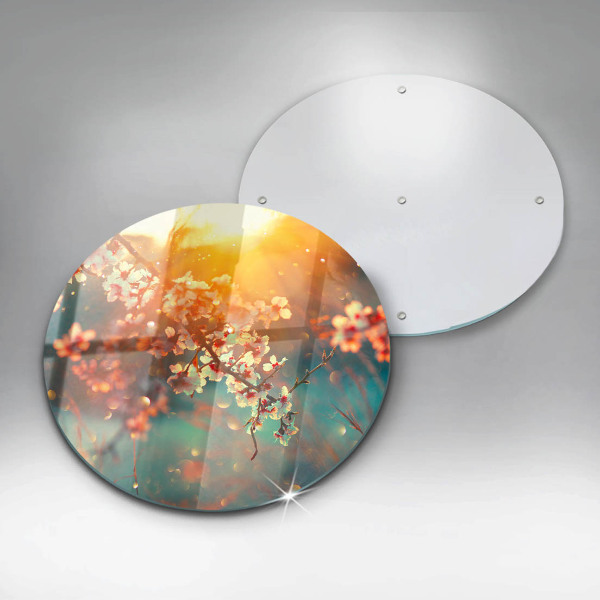 Deska kuchenna szklana Kwiaty jabłoni w słońcu