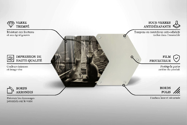 Deska szklana do kuchni Koty miasto i okno