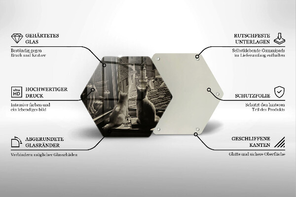 Deska szklana do kuchni Koty miasto i okno
