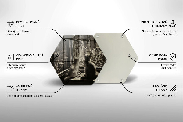 Deska szklana do kuchni Koty miasto i okno