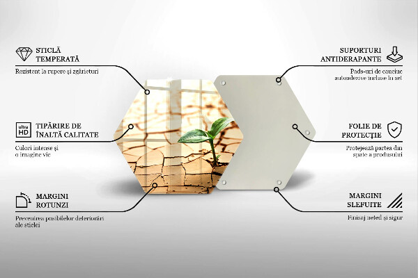 Deska szklana do kuchni Samotna roślina