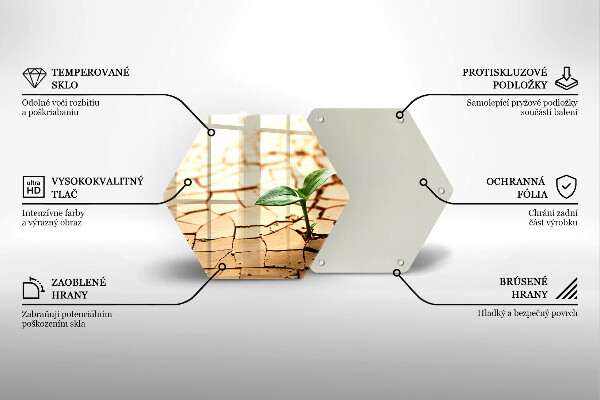 Deska szklana do kuchni Samotna roślina