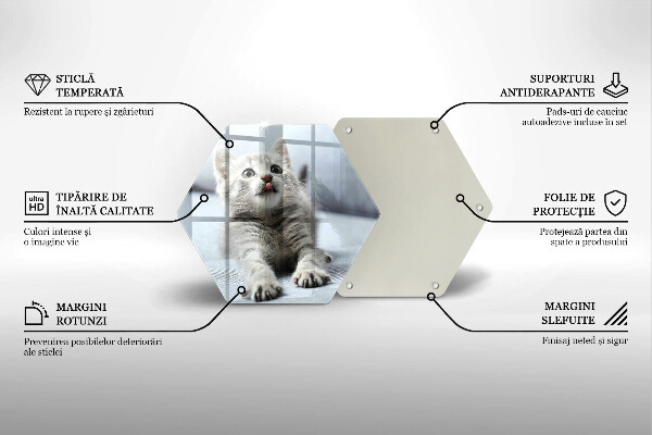 Deska szklana do kuchni Mały uroczy kotek
