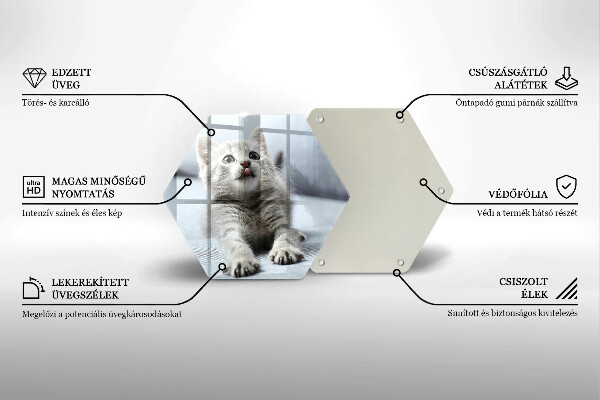 Deska szklana do kuchni Mały uroczy kotek