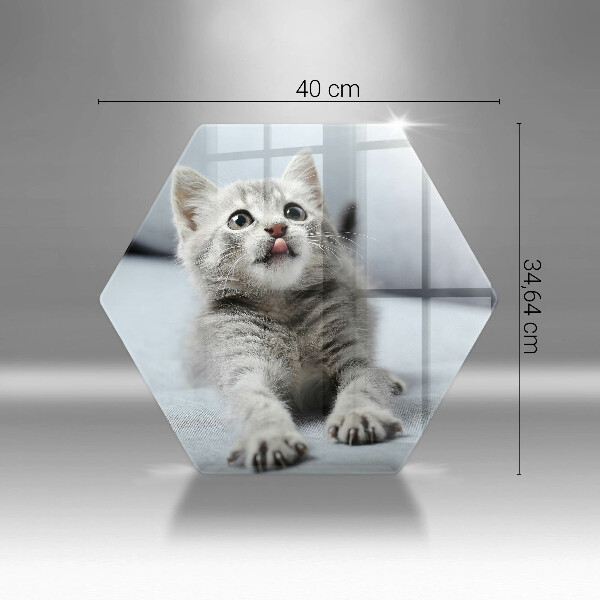 Deska szklana do kuchni Mały uroczy kotek