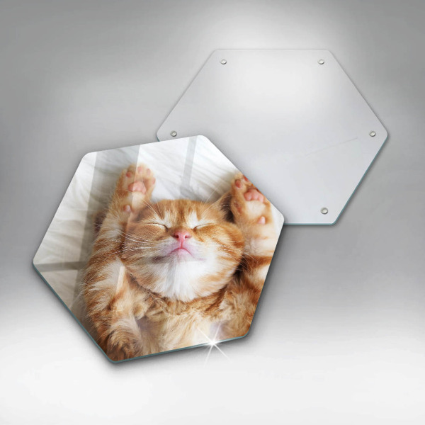 Deska szklana do kuchni Mały słodki kotek