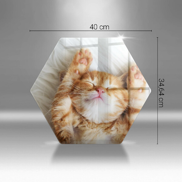 Deska szklana do kuchni Mały słodki kotek