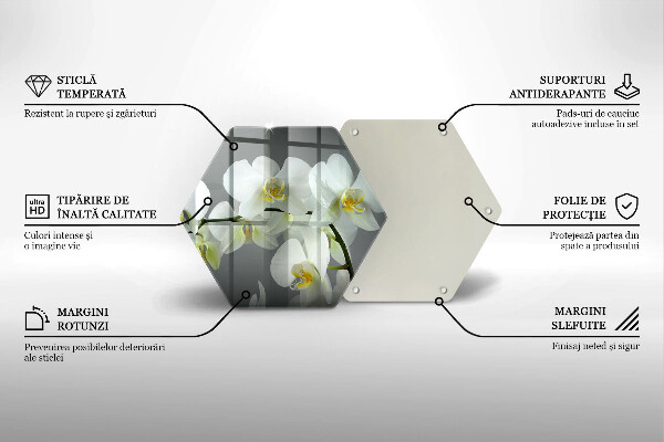 Deska szklana do kuchni Kwiaty biała orchidea