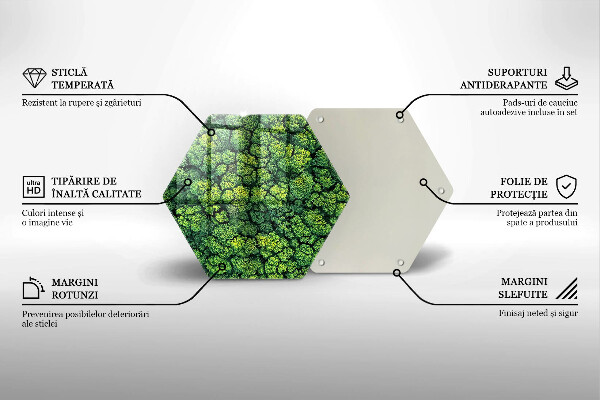 Deska szklana do kuchni Natura rośliny mech
