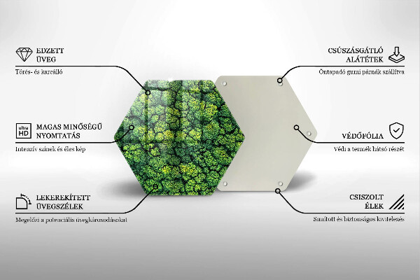 Deska szklana do kuchni Natura rośliny mech