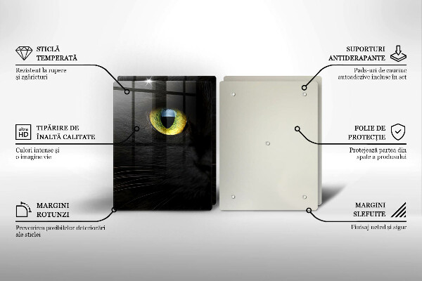 Osłona ściany przy kuchence gazowej Zwierzę kocie oczy