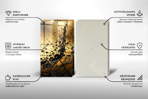 Osłona ściany przy kuchence gazowej Rosa i dmuchawce