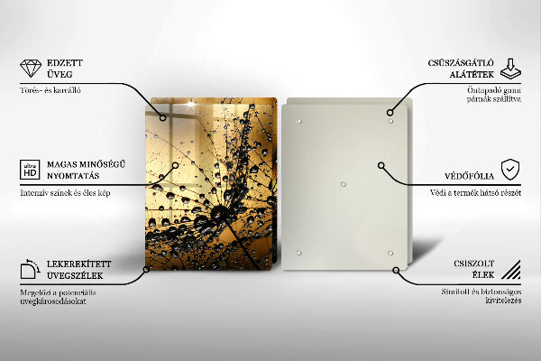 Osłona ściany przy kuchence gazowej Rosa i dmuchawce