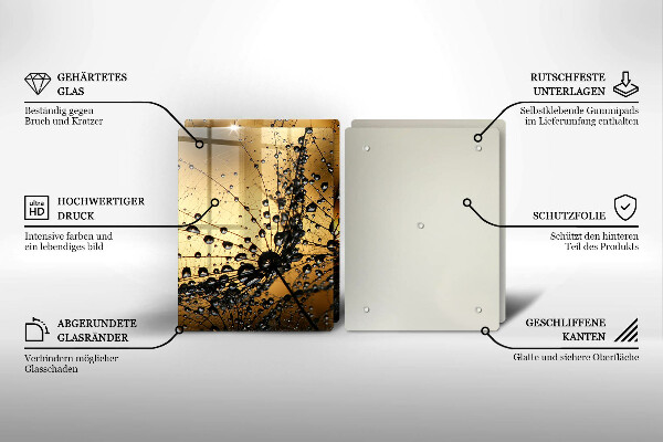 Osłona ściany przy kuchence gazowej Rosa i dmuchawce