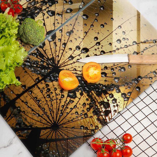 Osłona ściany przy kuchence gazowej Rosa i dmuchawce