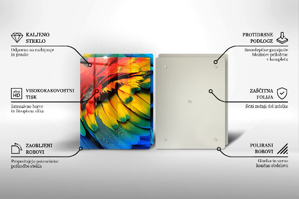 Osłona ściany przy kuchence gazowej Barwne pióra papugi