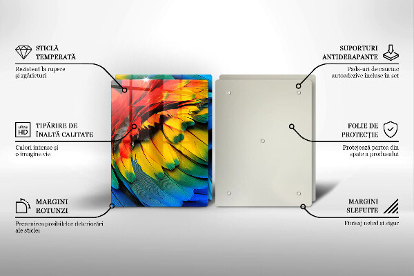 Osłona ściany przy kuchence gazowej Barwne pióra papugi