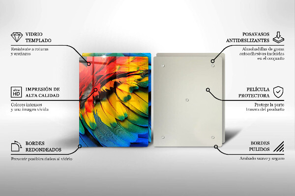 Osłona ściany przy kuchence gazowej Barwne pióra papugi