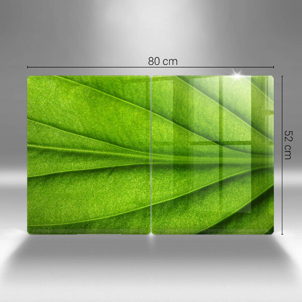 Osłona ściany przy kuchence gazowej Liść żyłki natura