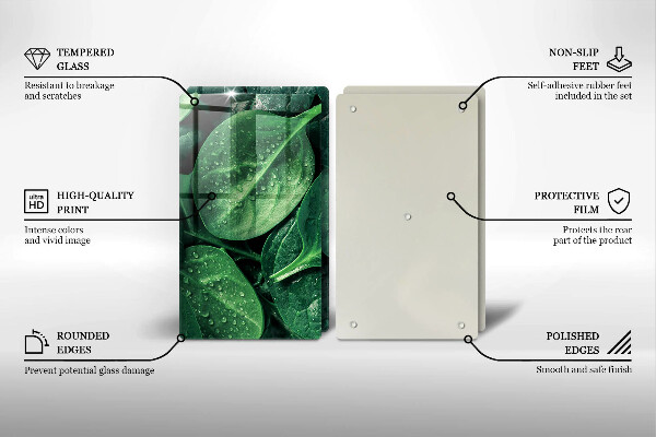 Osłona ściany przy kuchence gazowej Liście bazylii