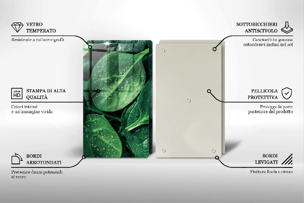 Osłona ściany przy kuchence gazowej Liście bazylii