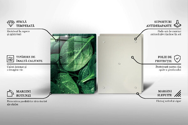 Osłona ściany przy kuchence gazowej Liście bazylii