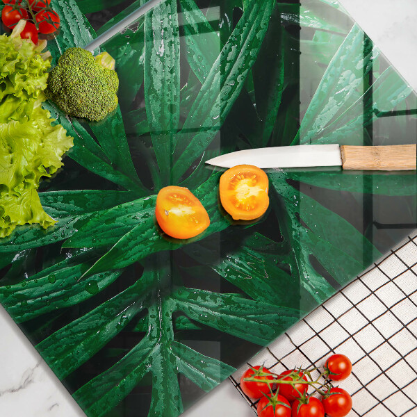 Osłona ściany przy kuchence gazowej Rośliny liście