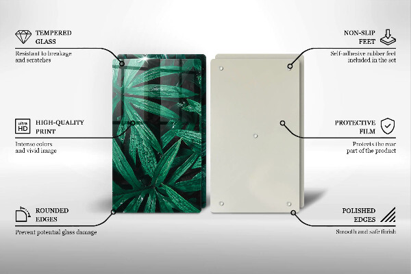 Osłona ściany przy kuchence gazowej Rośliny liście