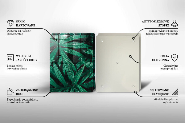 Osłona ściany przy kuchence gazowej Rośliny liście