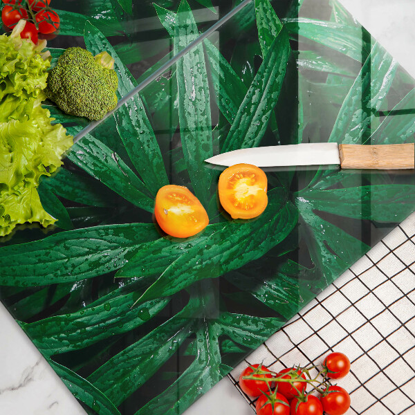 Osłona ściany przy kuchence gazowej Rośliny liście