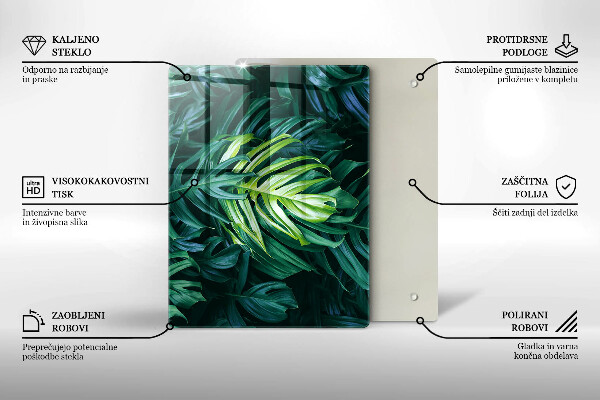Osłona ściany przy kuchence gazowej Dzikie liście monstery