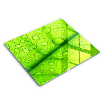 Osłona do płyty indukcyjnej Zbliżenie liścia