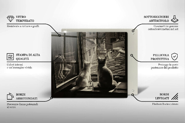 Osłona ściany przy kuchence gazowej Koty miasto i okno