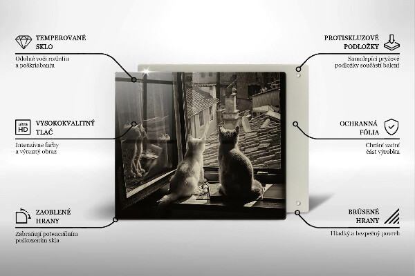 Osłona ściany przy kuchence gazowej Koty miasto i okno